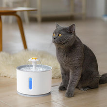 Lade das Bild in den Galerie-Viewer, AquaFresh Brunnen – für bessere Gesundheit (30% Rabatt)
